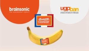 UGPBAN Brainsonic